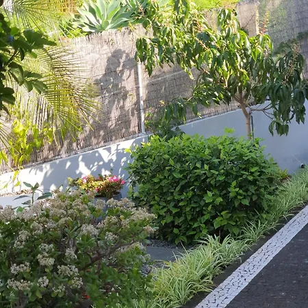 Villa Palmera Sea View