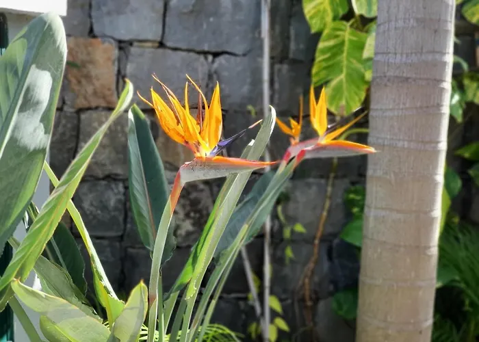 Palmera Sea View Villa *