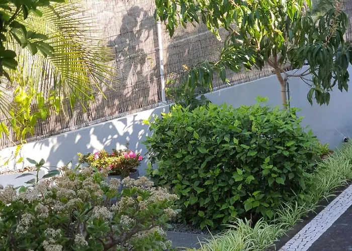 Vila Palmera Sea View